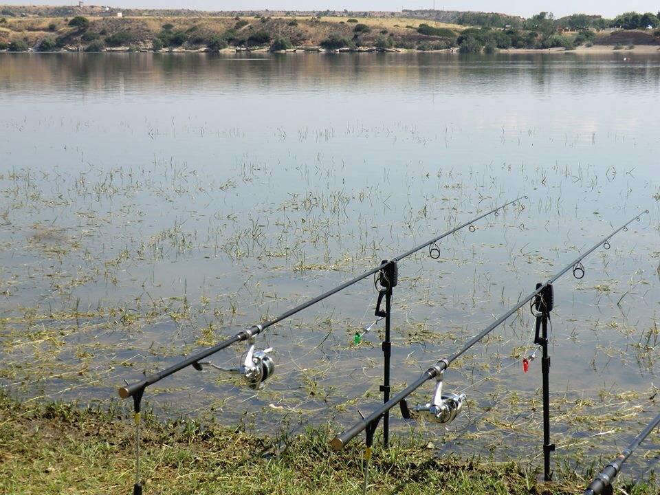 2013 - 2 - image1111111.jpg